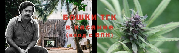 дживик Богородицк
