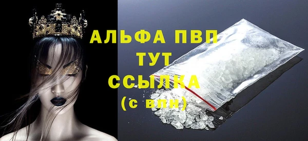 спиды Богданович