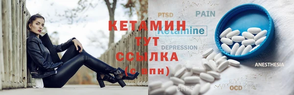 спиды Богданович