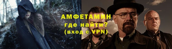 спиды Богданович