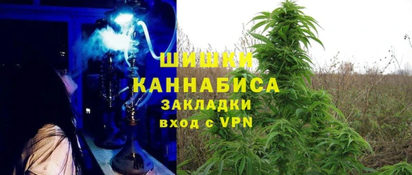 спиды Богданович