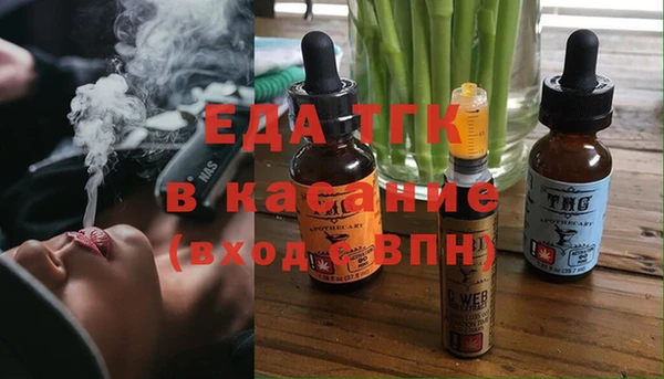 дживик Богородицк