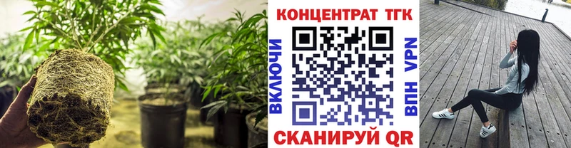 Дистиллят ТГК вейп с тгк  как найти закладки  Волгореченск 