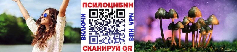 наркотики  Волгореченск  Псилоцибиновые грибы мицелий 